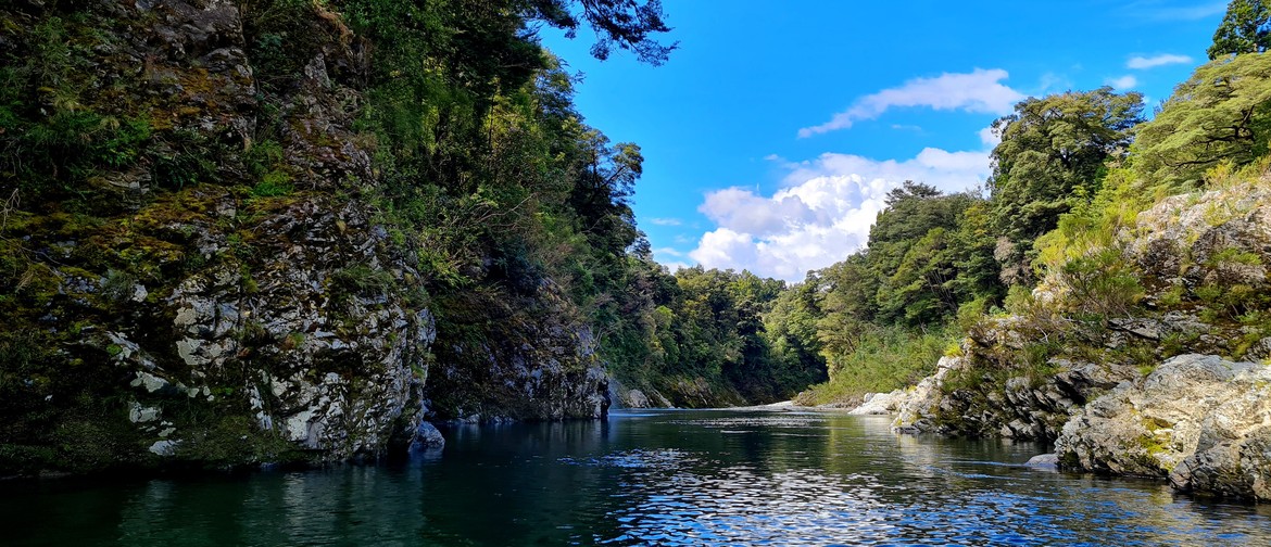 Pelorus Bridge Scavenger Hunt Pelorus Bridge Scavenger Hunt