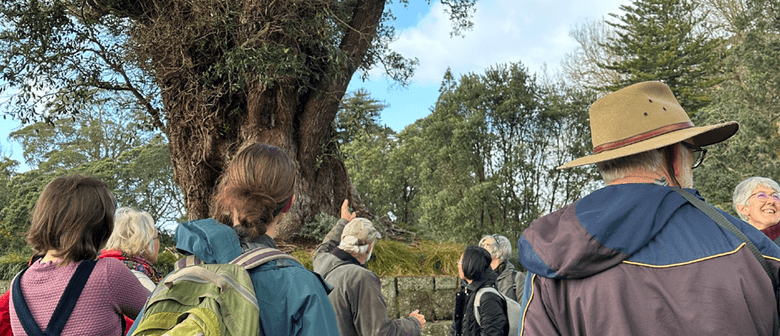 Guided Walk: Native Trees