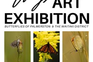 Image for event: Exhibition: Butterflies of Palmerston & The Waitaki District
