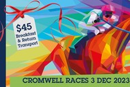 Image for event: Cromwell Races - The Pig's Bus & Breakfast!