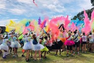 Image for event: Bay of Islands Rotary Colour Run 2024