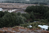 Image for event: Waihohonu Hut Area Tramp 2024