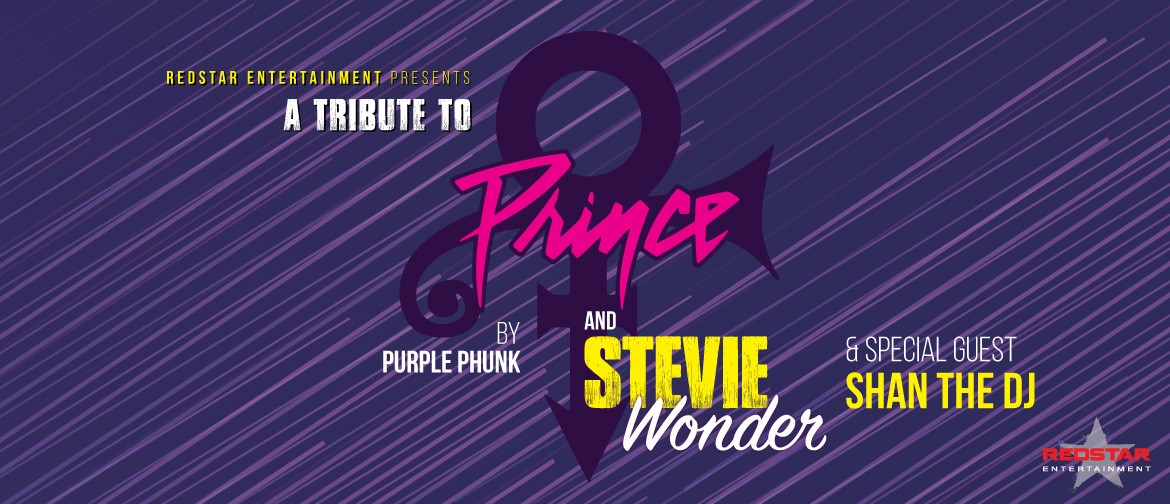 Prince and Stevie Wonder Tribute