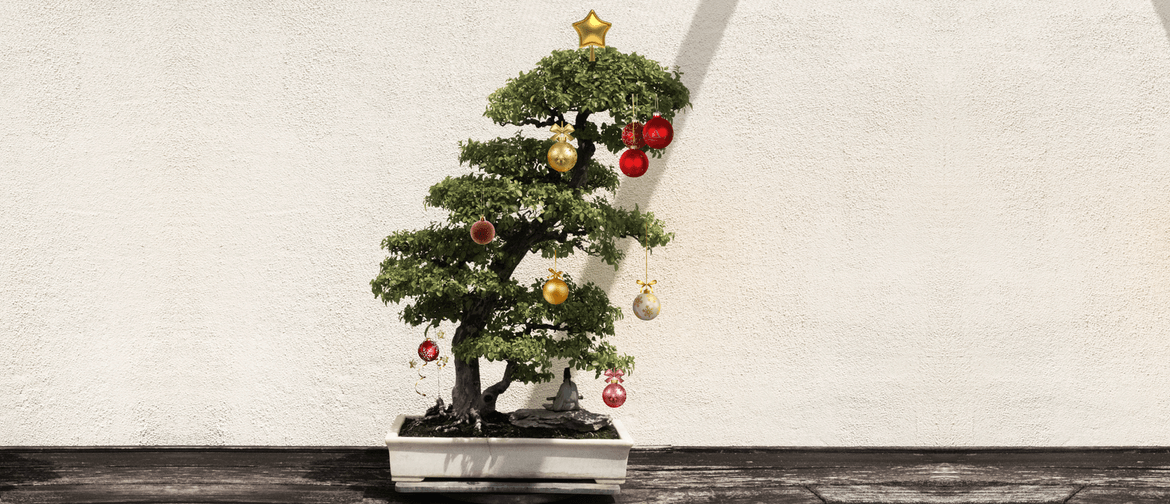 Bonsai: Christmas Edition | Workshop 