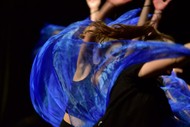 Image for event: SGCNZ Dance Nimble Soles 2023