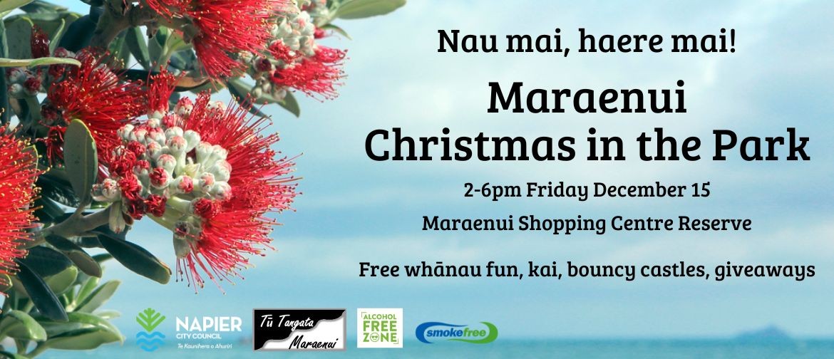 Maraenui Christmas in the Park