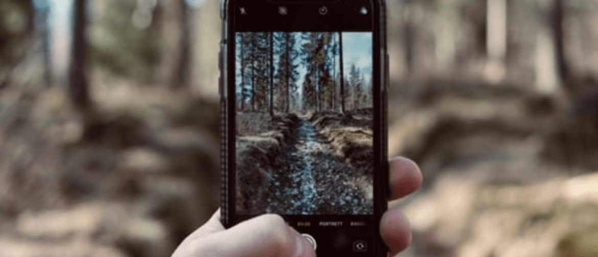 Photography: Fantastic Photos on Your Phone