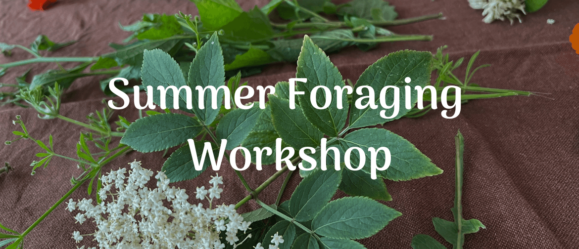 Summer Kapiti Foraging Workshop, Identify Wild Edible Plants