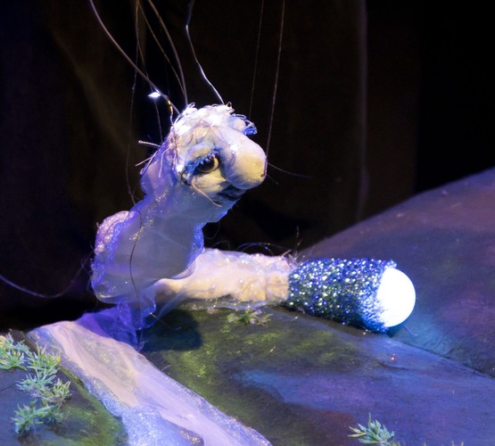 Flutter Puppet show and Wellington Eventfinda