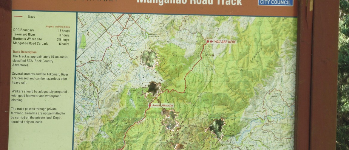 Walk the Te Araroa Trail - Burttons Track: CANCELLED