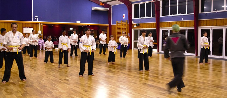 The School of Martial Arts