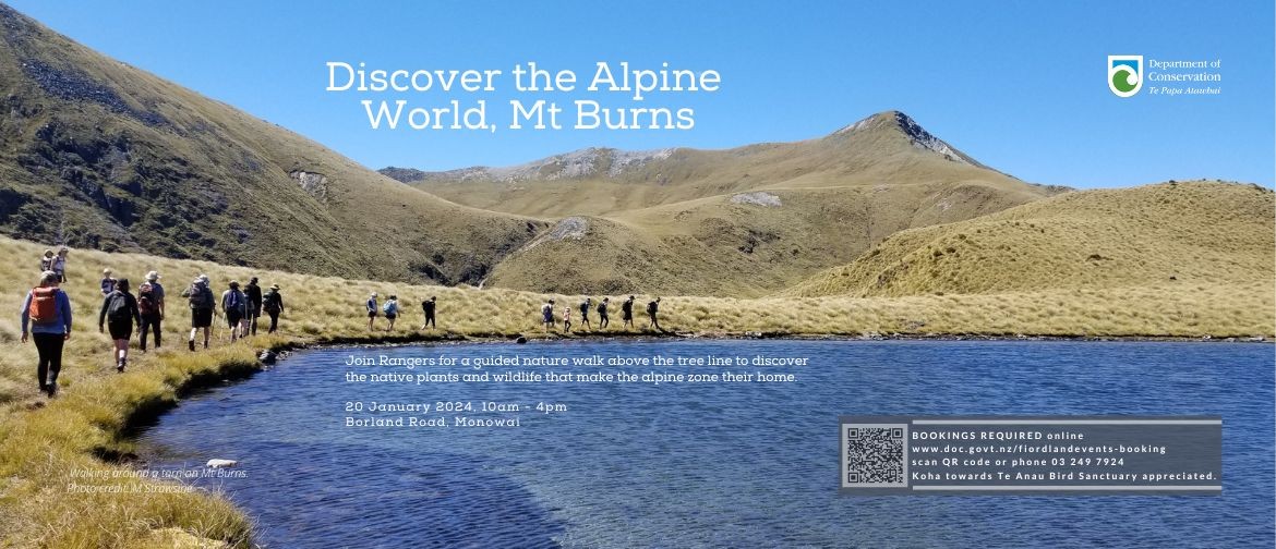 Discover the Alpine World, Mt Burns