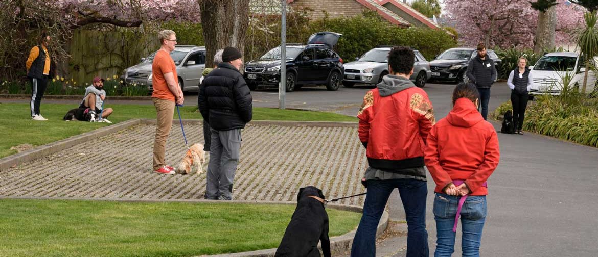 Outdoor Dog Training In the City