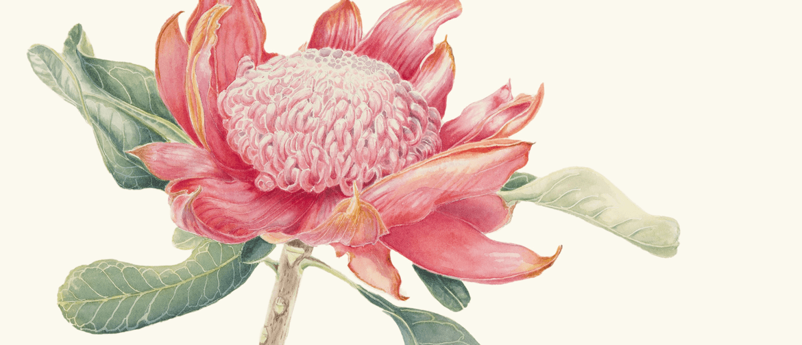 Watercolour Botanicals with Jennifer Duval-Smith