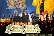 Tribute to Queen and the Bee Gees
