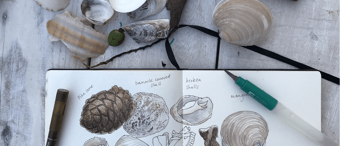 watercolour of shells in Nature Journaling sketchbook