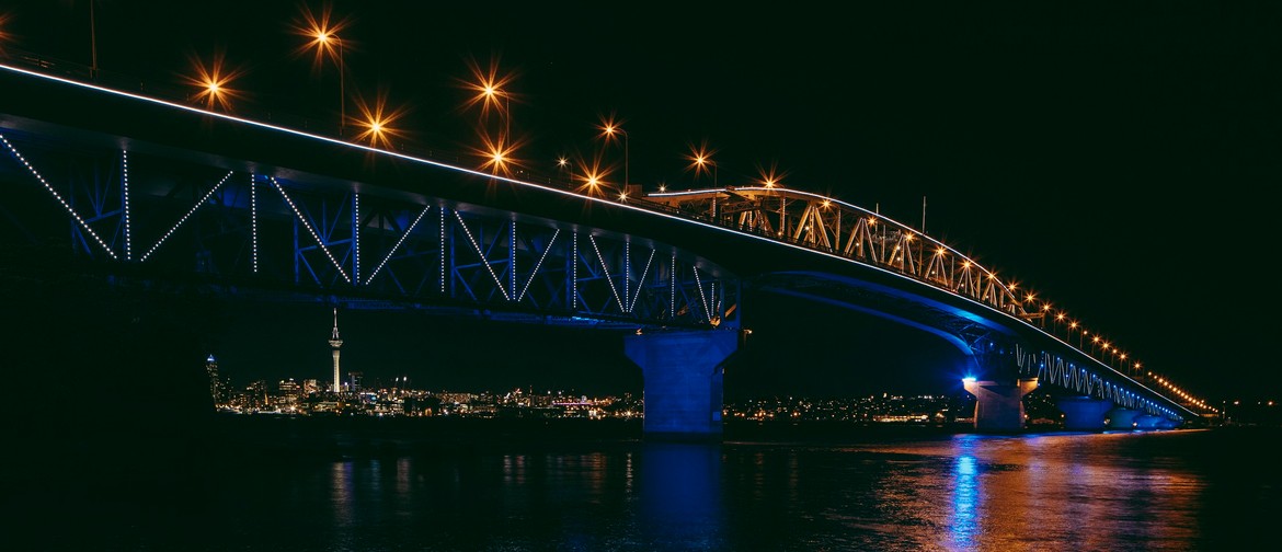 Vector Lights for Auckland Anniversary Day 2024