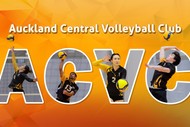Image for event: Social Indoor Volleyball - Full Court Mixed 6s - From ACVC