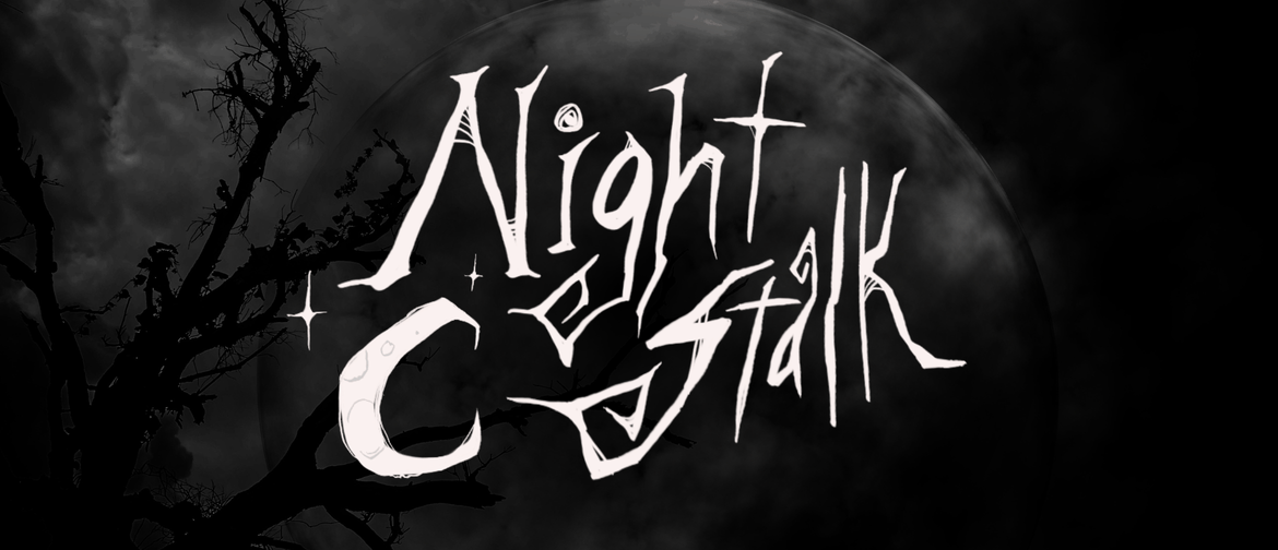 The Night Stalk Immersive Clue Solving Experience
