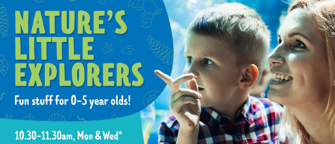 Nature’s Little Explorers – Sessions For 0-5 Year Olds