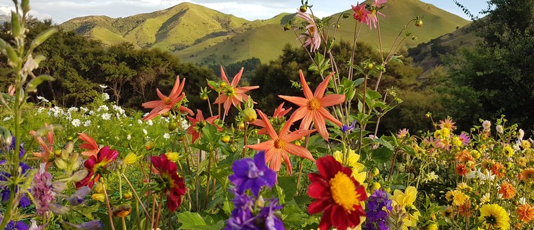 Mt Holdsworth Flower Farm - Wairarapa