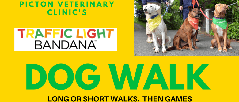 Traffic Light Bandana Dog Walk