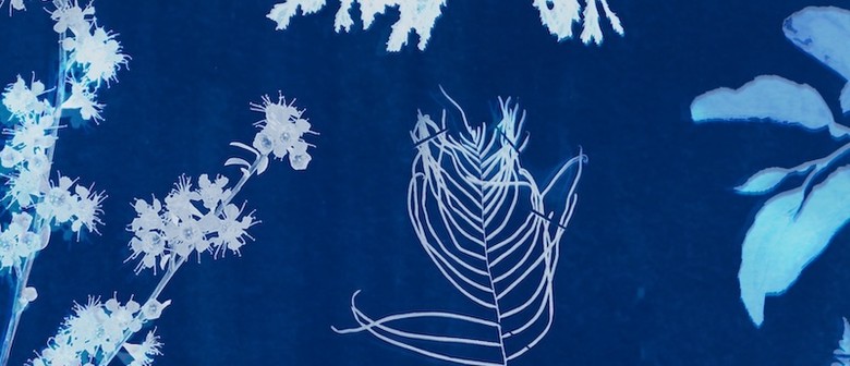 A cyanotype of plants on a blue background.