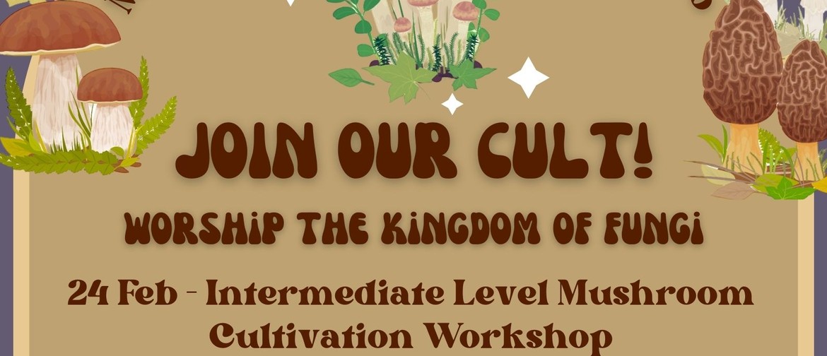 Mushroom Cultivation - Intermediate Level Workshop