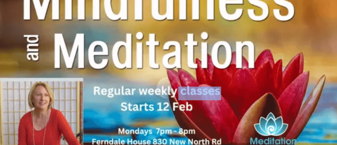Mindfulness and Meditation Regular Classes
