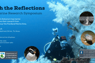 Image for event: Beyond the Reflections: Fiordland Marine Research Symposium