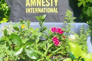 Image for event: Amnesty Plant Stall - Shabby Chic Market
