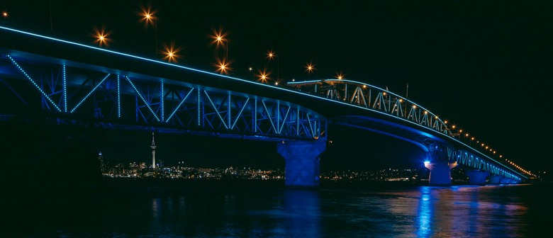 Vector Lights for Moana Auckland 2024