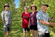 Image for event: Pick Your Own Apples at Molewood Orchard 2024
