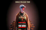 Image for event: Turkey the Bird
