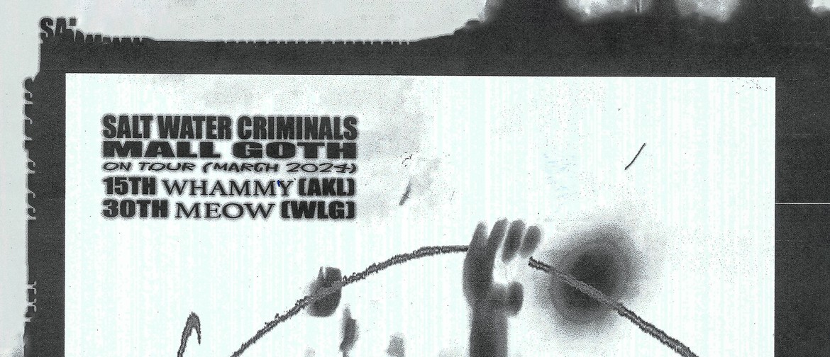 Salt Water Criminals and Mall Goth Tour Poster