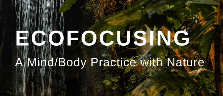 Ecofocusing – A Mind/body Practice With Nature