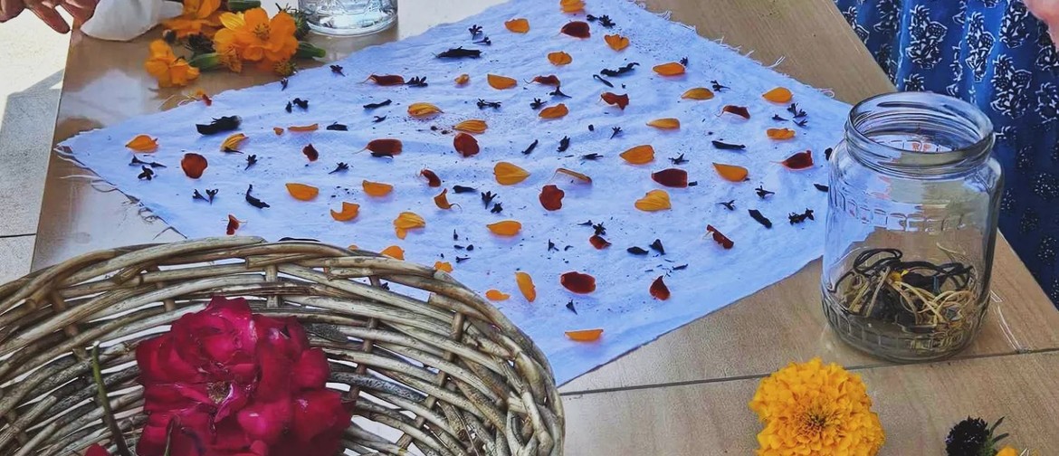 Natural Dye Workshop - an Introduction to Natural Dye