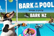 Image for event: BARK in the Pool 2024