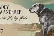 Paddy the Wanderer: Wellington History Walk