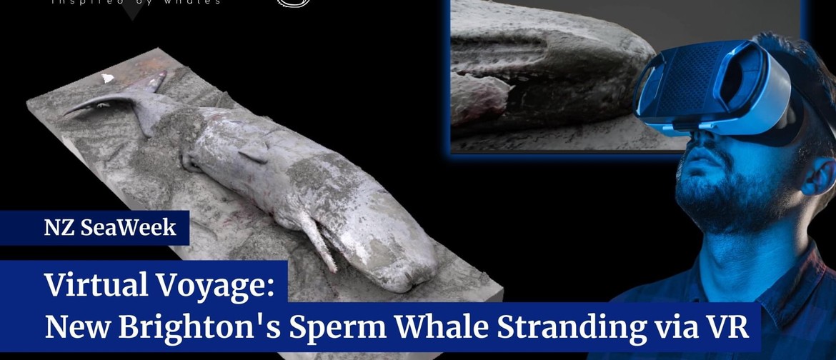 Nz Seaweek - Virtual Voyage: Whale Stranding Via Vr