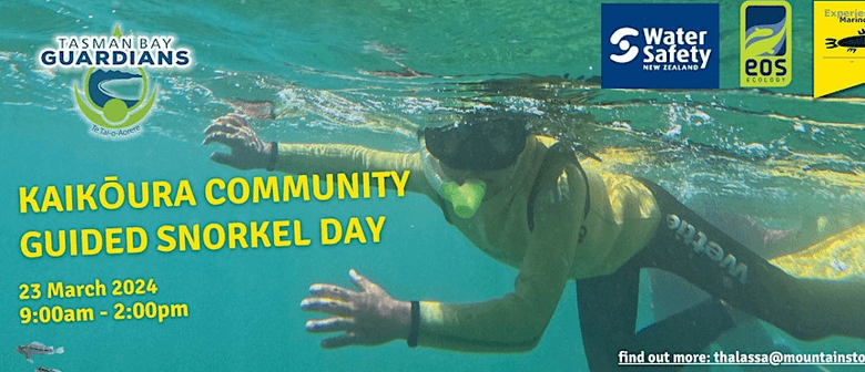 Kaikōura Community Guided Snorkel Day