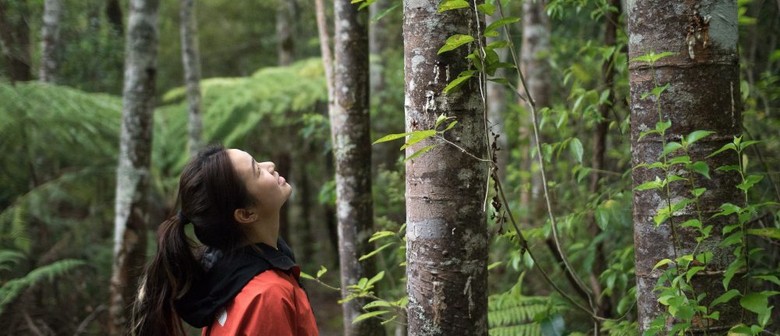 Kauri Glen Guided Walk with Pest Free Kaipātiki - EcoFest