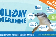 Image for event: School Holiday Programme - National Aquarium of NZ