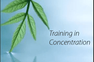 Improving Concentration - Meditation Course