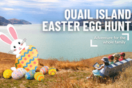 Image for event: Quail Island Easter Egg Hunt