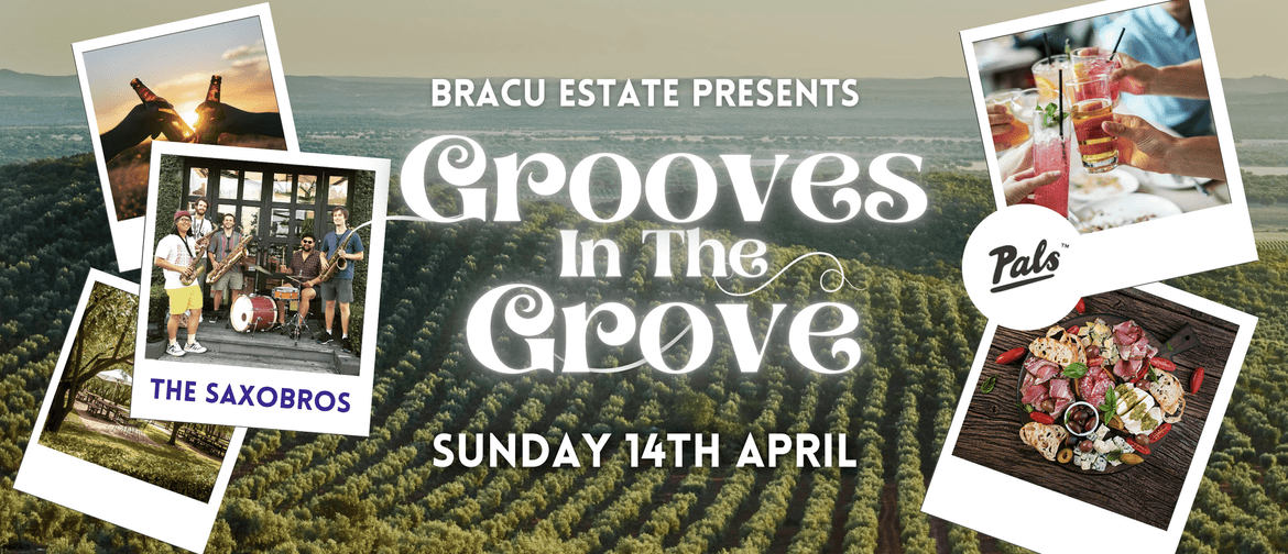 Grooves in The Grove 2024