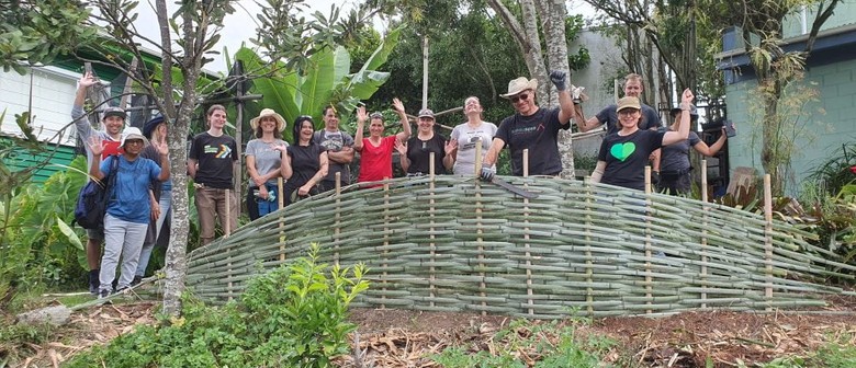 Create a Terrace Garden - Ecofest