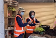 Image for event: Community Native Plant Nursery Workshop - Ecofest