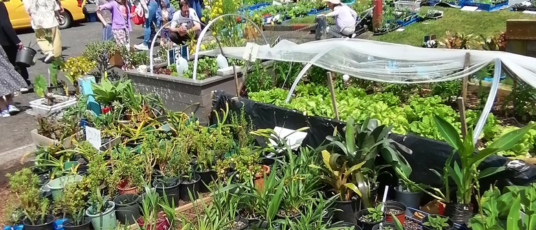 Garden Open Day and Plant Sale