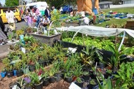 Image for event: Garden Open Day and Plant Sale